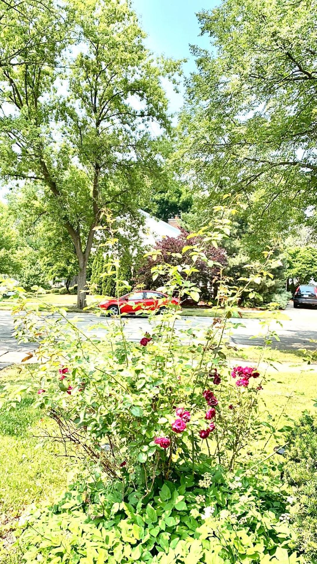 B2 A Private Room In Naperville Downtown With Desk And Wi-Fi Near Everything מראה חיצוני תמונה