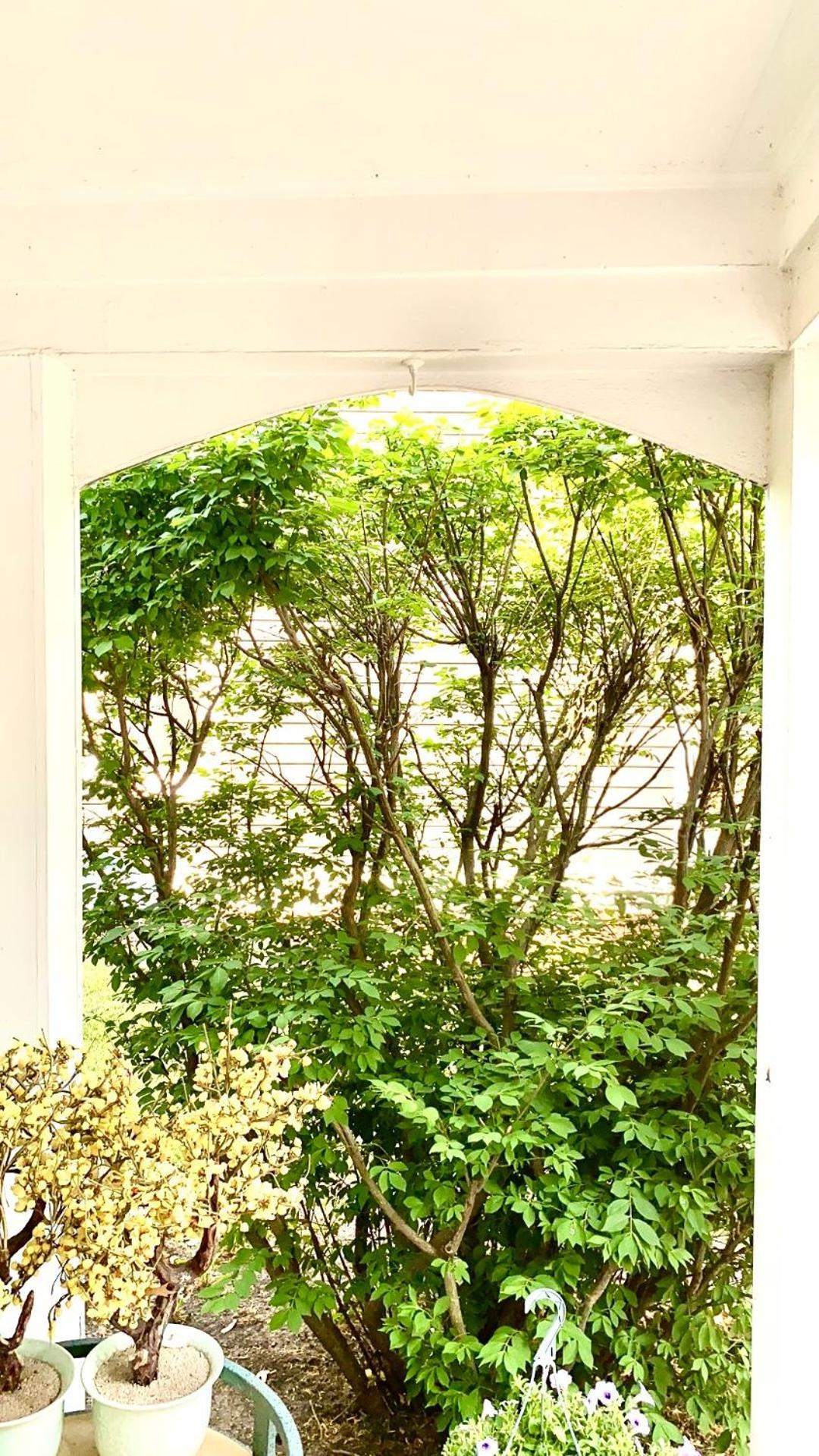 B2 A Private Room In Naperville Downtown With Desk And Wi-Fi Near Everything מראה חיצוני תמונה